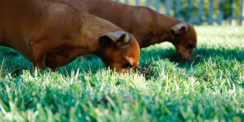 北京欧zone新风系统安装指南：如何与工业臭氧设备协同，构建1+1>2的全屋健康空气循环