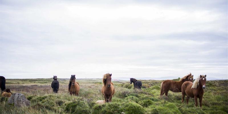 北京欧zone社区安全监控体系：如何构建从消防安全到工业臭氧设备运行的全方位防护网？
